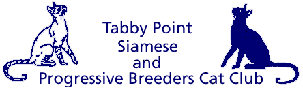Tabby Point Siamese and Progressive Breeders Cat Club